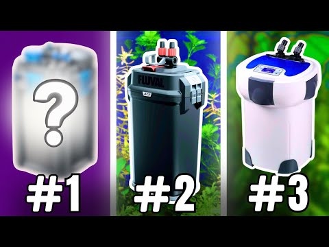 The Best Canister Filters for Aquariums (and HOW to Choose One)