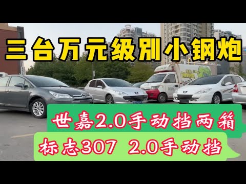 世嘉2.0两箱手动挡，标志307两箱2.0手动挡，万元小钢炮首选