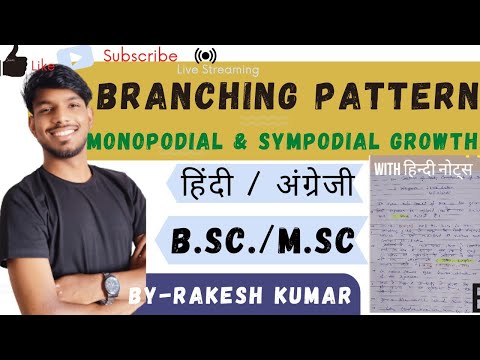 branching pattern ( m.sc.4th sem.)।Monopodial and sympodial growth।msc botany hindi notes #bsc #msc