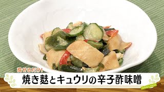 ナマなキッチン「焼き麩とキュウリの辛子酢味噌」