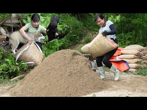 The adventure of making money and renovating fish ponds of a girl named Binh in rural Vietnam