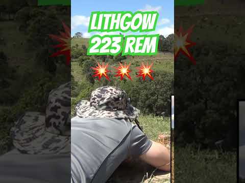 Lithgow LA102 223 #ozziereviews #shooting #lithgow #223 #243 #308 #firearms #viralshorts #rifle