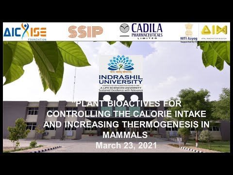 Plant Bioactives for controlling the calorie intake and Increasing Thermogenesis in Mammals