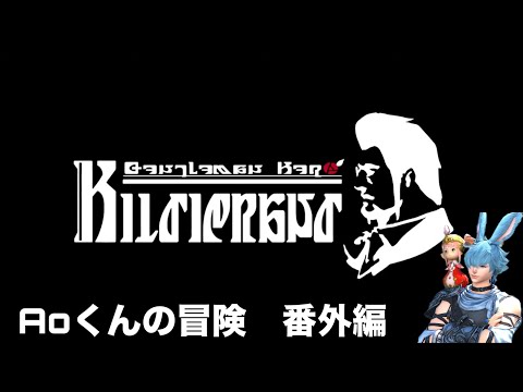 【FF14 新生エオルゼア編】Aoくんの冒険【事件屋ヒルディブランド編】 🌱Meteor/Beliasにて冒険中🌱※無言動画