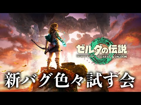 愛媛から帰ってきたら面白そうなバグ発見されてたのでやる【ゼルダの伝説ティアーズオブザキングダム】