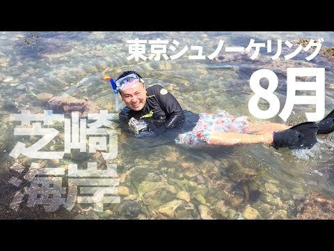 ＃１７芝崎海岸でシュノーケリング（2015年8月）【東京シュノーケリング】