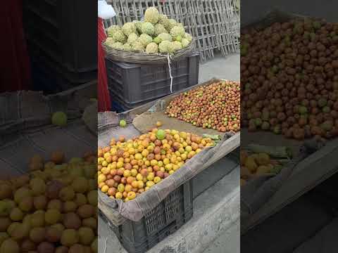 మీలో ఎంత మందికి చిన్న రేగిపళ్లంటే ఇష్టం #youtubeshorts #trending #shorts #fruit #vijayawada #tasty