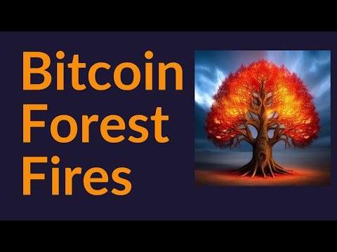 Bitcoin Forest Fires