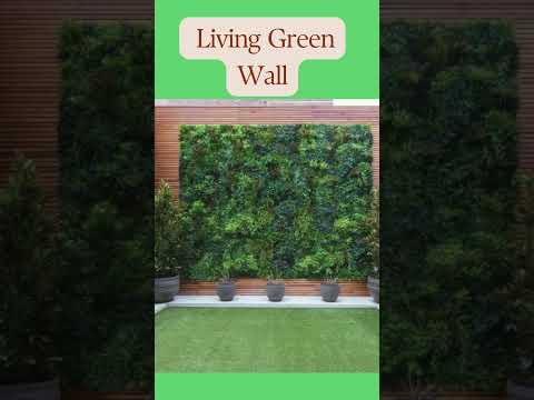 #diy Vertical Gardening Hacks for Your Home's Boundary Wall! #youtubeshorts #trending #viralshorts