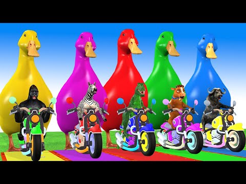 5 Giant Duck Cartoon,Cow,Elephant,Tiger,Lion,Gorilla, Paint Wild Animals Crossing Fountain Animation