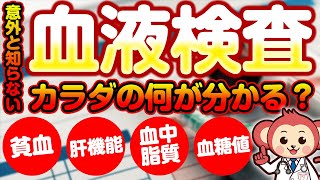 【意外と知らない】血液検査で分かることを現役看護師が解説！前編【医師が監修しています】