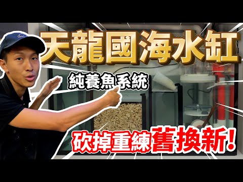 【藍箱水族】天龍國的FO缸！超完整的底缸規劃設計~台北大安區張先生魚缸！