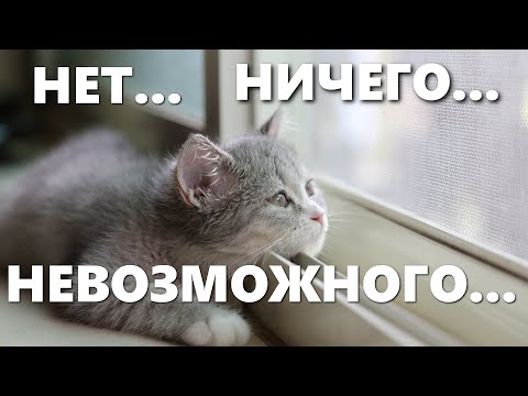 Правило трёх "Н".  Нет Ничего Невозможного