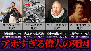 【ゆっくり歴史解説】絶対に笑ってはいけない。歴史的な偉人の残念過ぎる死因9選。