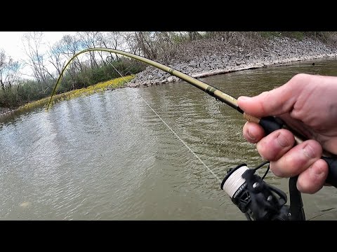 River Fishing For OUR DINNER!! (Delicious)