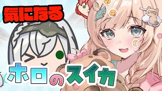 【ホロのスイカ】こっちもきになりますよね👀【風真いろは/ホロライブ】