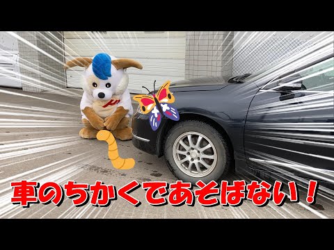 ほくとくんが教える車の近くの危険！