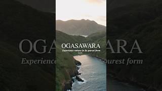 Ogasawara is a hiker's paradise!