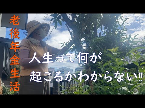 【70代年金生活】心に残る素敵な出会いの話と今生の別れ。