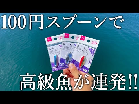 投げて巻くだけで高級魚が連発！ダイソー100円スプーンを海で使うと想定外の爆釣でした