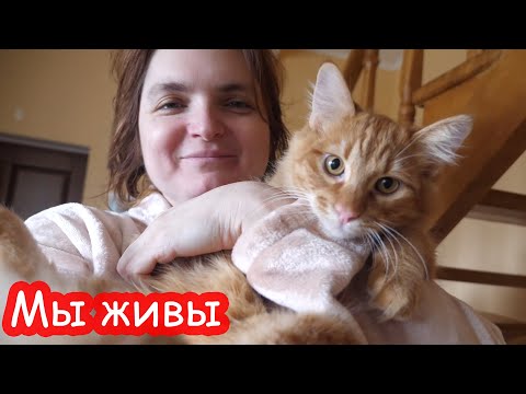 VLOG Кошмарная ночка