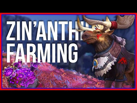 Which Zin'anthid Farming Route is Best? | Patch 8.2 Herbalism