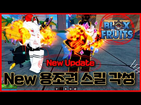 [로블록스] 🔥New 용조권 스킬 각성 !!🔥가강전인가?? 확킬이 생겼네?ㅋㅋ  블록스플룻 BloxFruits