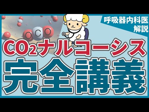 【20分で初心者卒業】CO2ナルコーシスの完全講義