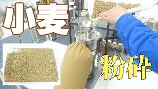 【小麦を微粉末】微粉砕機で小麦をパウダー加工（ファインパウダーミル）