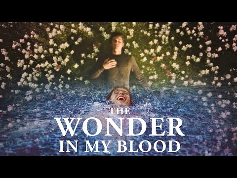 SHAWN MENDES - Wonder / In My Blood (MASHUP)