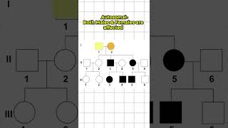 Fastest way to Solve Pedigree Analysis #neet #biology #shorts