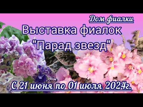 ФИАЛКИ- 24 Выставка фиалок с 21 июня по 01 июля 2024г. в Доме фиалки (Москва)#домфиалки #выставка