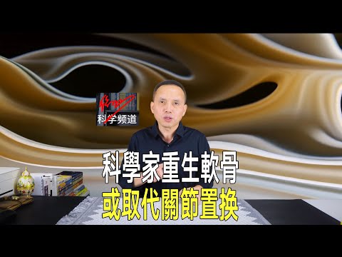 西北大學科學突破：勝肽支架重生軟骨，或非侵入性取代關節置換