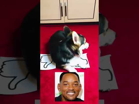 Like or dislike? Billie Eilish, Bella Poarch, Will Smith