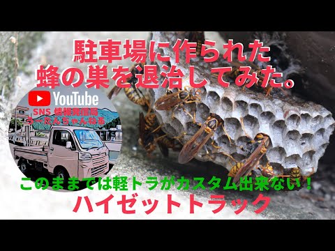 駐車場に出来た蜂の巣を駆除した（アシナガハチ/スズメバチ）このままではハイゼットトラック・アクティトラックがカスタム出来ない。