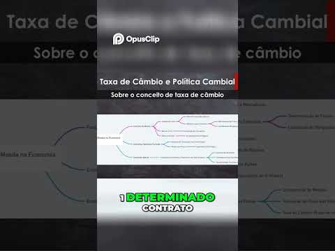 Economia e Taxa de Câmbio #economia #macroeconomia