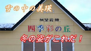 雪の中の美瑛　富良野　Vol.3【北海道　美瑛　四季彩の丘 Hokkaido Biei Shikisainooka】