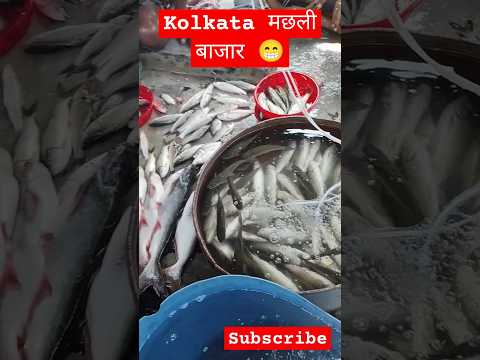 Kolkata मछली बाजार 😁🔥| kolkata fish market part ५ | #trending #viralvideo #youtubeshorts