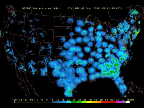 Migration pattern of birds at night