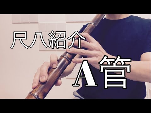 尺八紹介　翔童銘　A管  二尺四寸管(二尺三寸管)   琴古