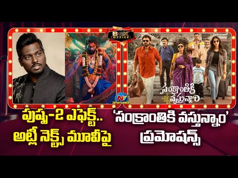 Pushpa 2 Effect on Director Atlee's Next Movie ? | Sankrantiki Vasthunnam Promotions | BO || @NTVENT