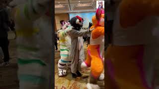 BEST Furry TikToks compilation 0628 #shorts #furrytiktok #furry  #funnyvideo  #youtube   #furries