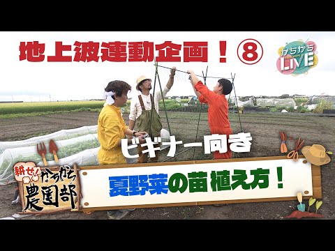 【農園部⑧】プロが教える苗植え！夏野菜編