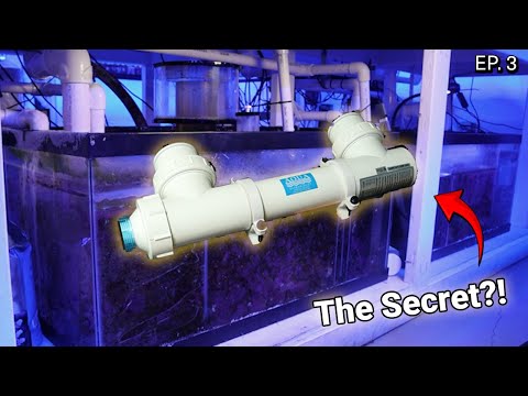 How To Set Up A Reef Tank Filter!