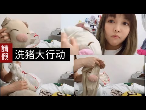 凱西 Vlog 22 洗豬大行動！這是一項艱鉅的任務，因為需要請假才能完成！到底洗一個娃娃為何需要如此大費周章！哈利，那是愛呀！