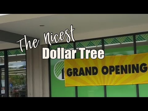 Come With Me to a Brand New DOLLAR TREE! Pens, Books, Crayola, Tons of Organization!