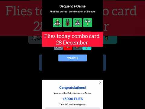 FLIES 28 DECEMBER COMBO CARD