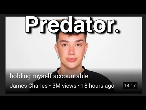 James Charles Cancelled Explained In 1 Minute