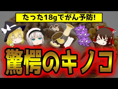 1日18gでがんのリスクが45％低くなる『きのこ』とは？栄養ランキング【ゆっくり解説】