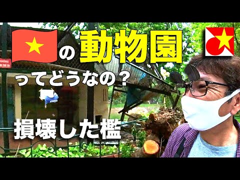 【癒やし】果たして動物はいるのか？！ハノイの日本人街ど真ん中にある動物園に行ってみる！【ハノイ観光スポット】